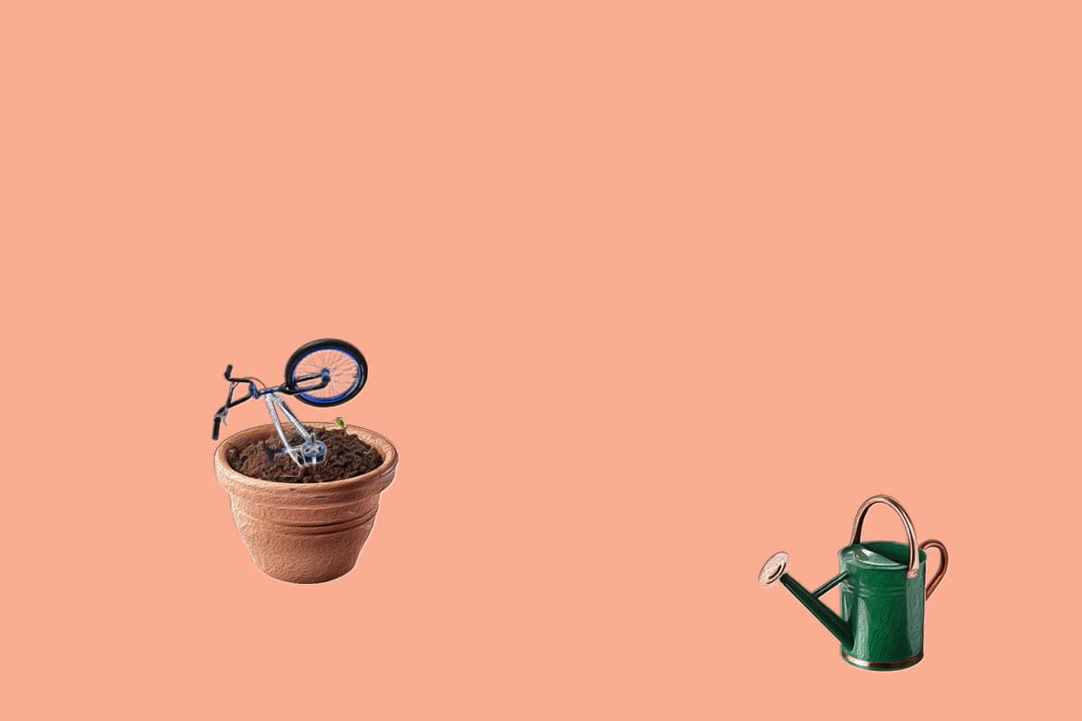 Action sports is in full growth mode 🚀