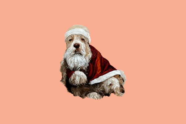 Listen to me show me santa’s dogs